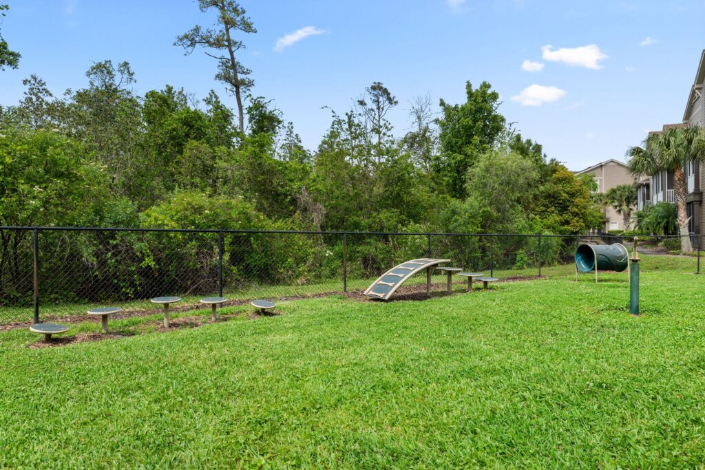 dog park with equipment